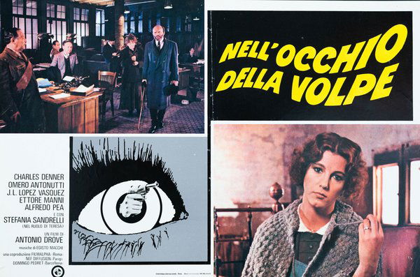 Nell'occhio della volpe