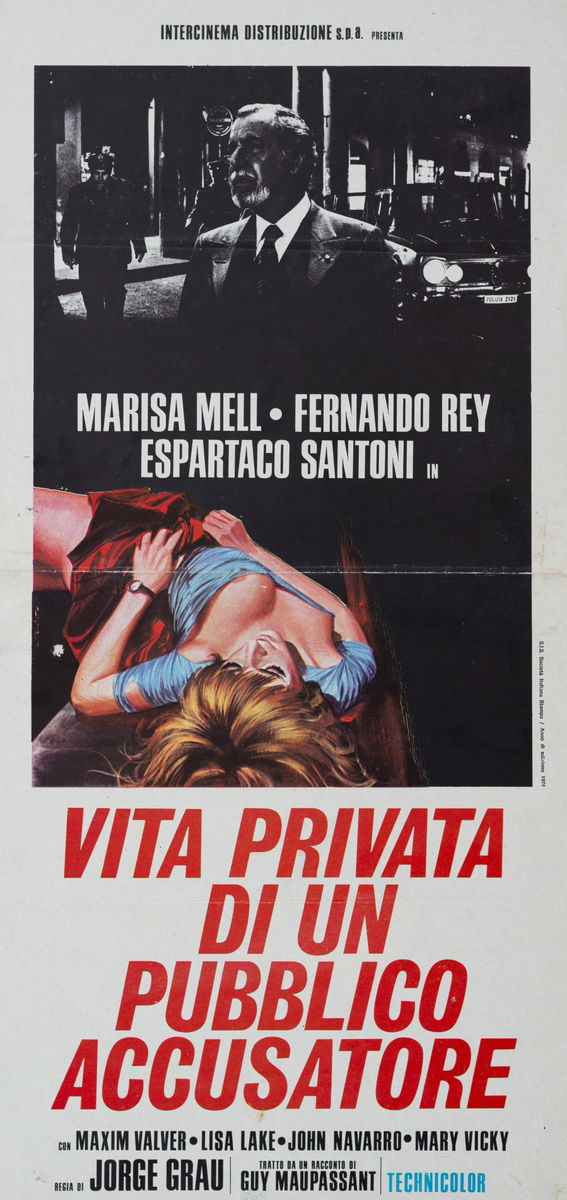 Vita privata di un pubblico accusatore - Locandina 1