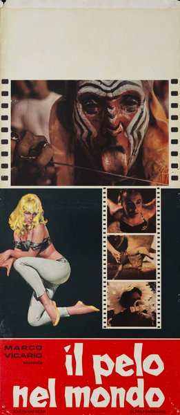 Il pelo nel mondo