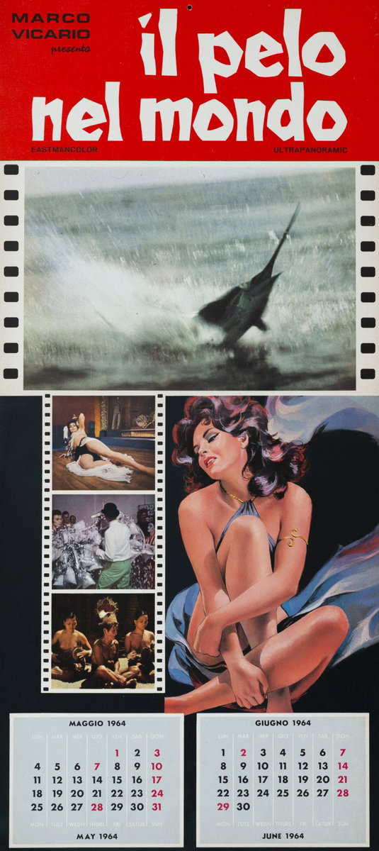 Locandina 3 per il film Il pelo nel mondo (1964)