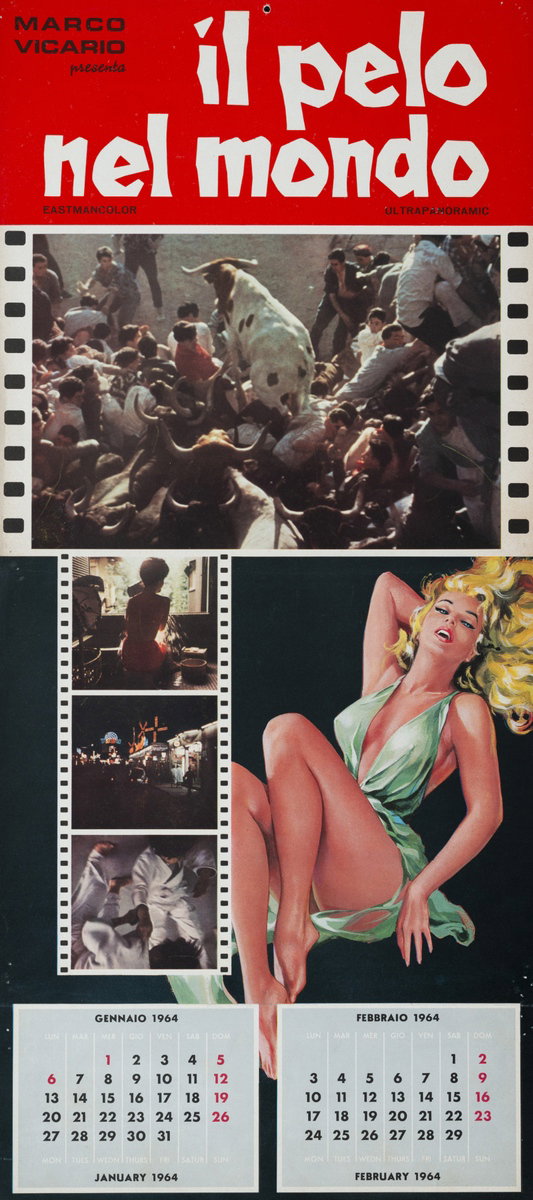 Locandina 4 per il film Il pelo nel mondo (1964)