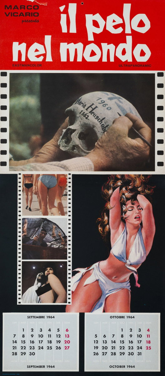 Locandina 5 per il film Il pelo nel mondo (1964)