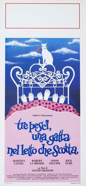 Tre pesci, una gatta nel letto che scotta