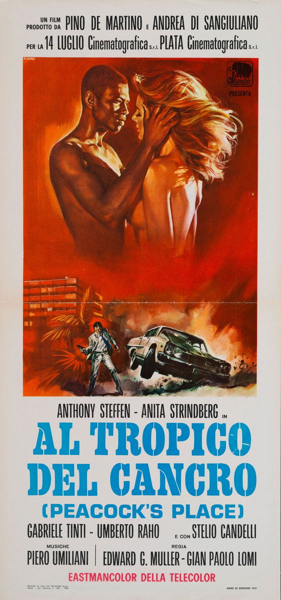 Al tropico del cancro - Locandina 1