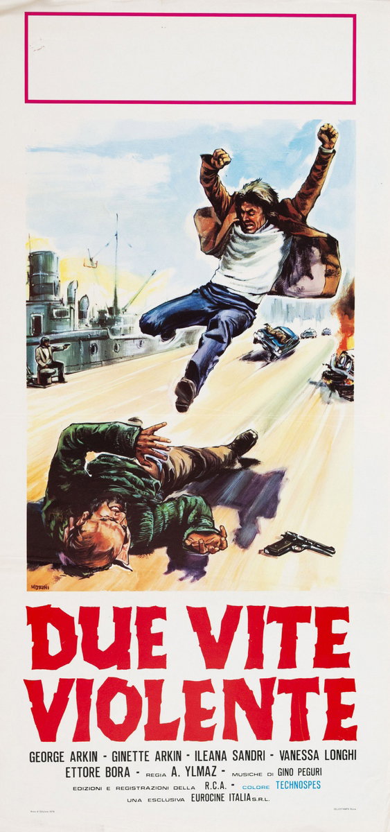 Locandina 2 per il film Due vite violante (1977)