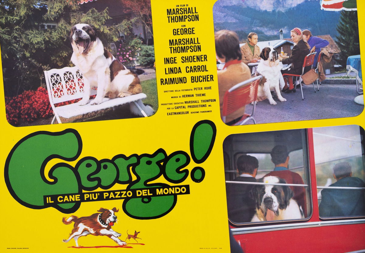 George - Fotobusta 1