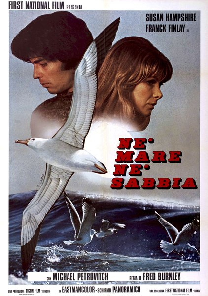 Neither the Sea Nor the Sand