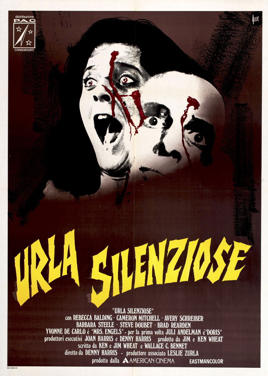 Silent Scream - Poster 1