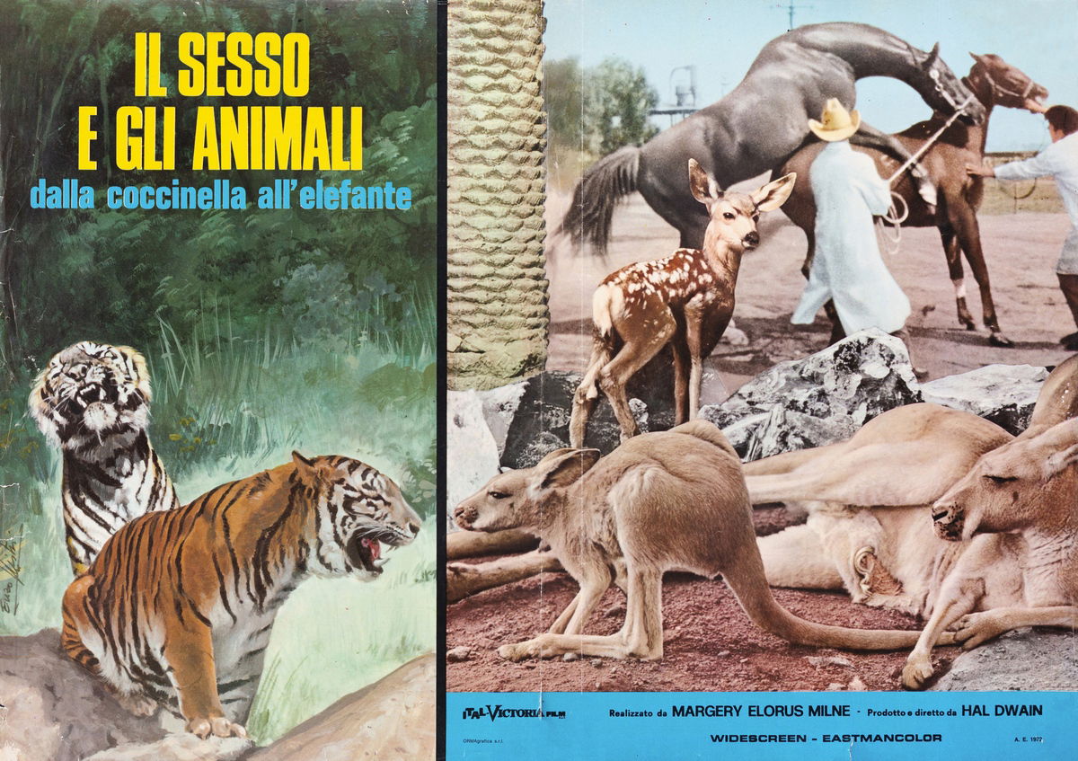 Sex and the Animals - Fotobusta 1