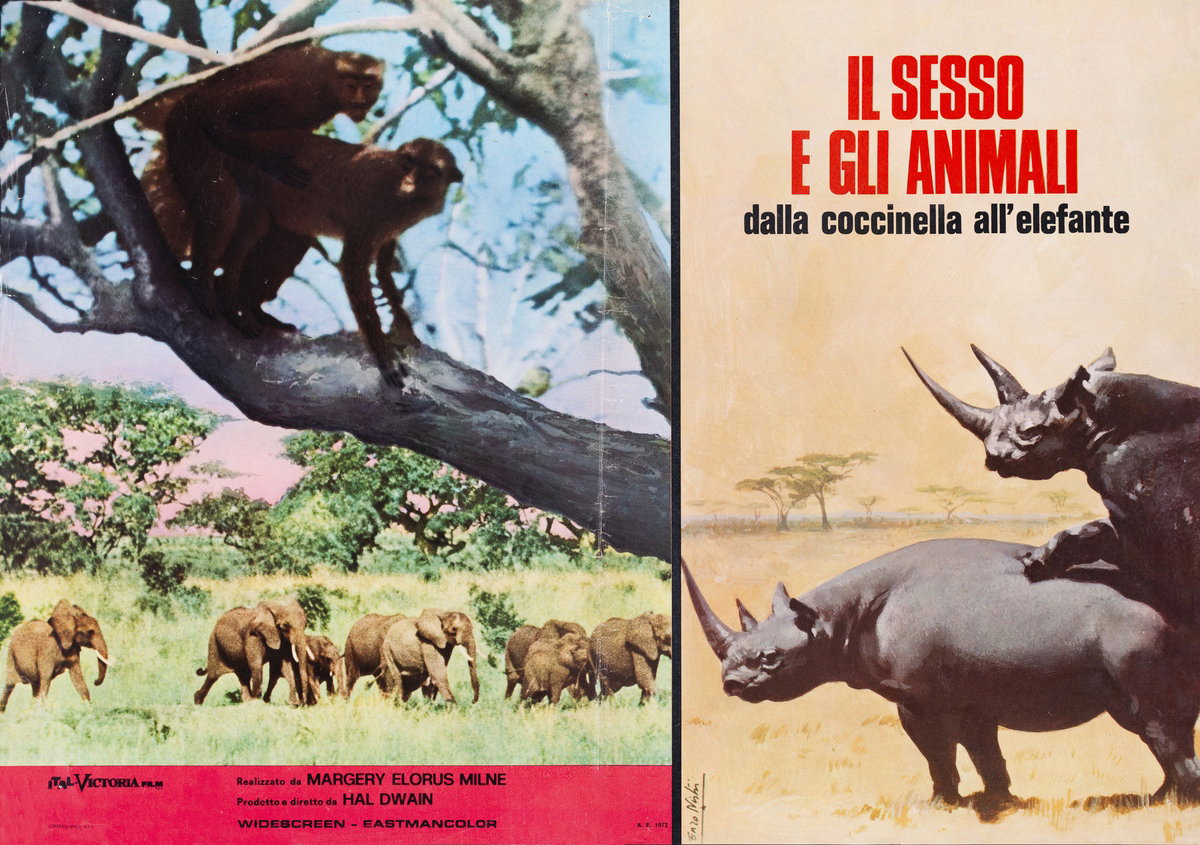 Lobby Card 2 for the film Sex and the Animals (1969), painted by Lorenzo Nistri (Enzo)
