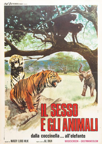 Il sesso e gli animali