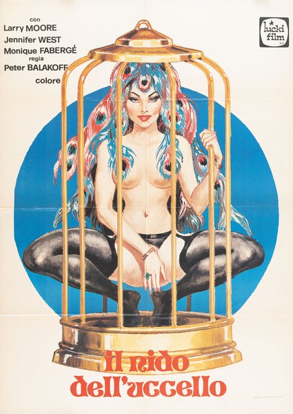 Il nido dell'uccello