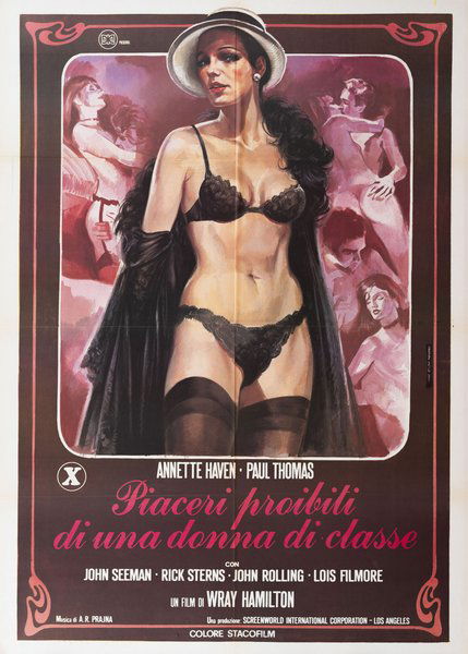 Piaceri proibiti di una donna di classe