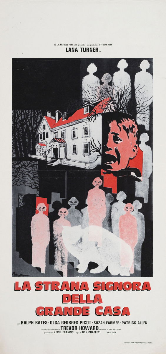 La strana signora della grande casa - Locandina 1