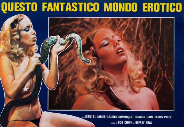 Questo fantastico mondo erotico