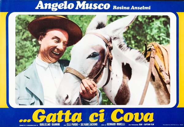 Gatta ci cova
