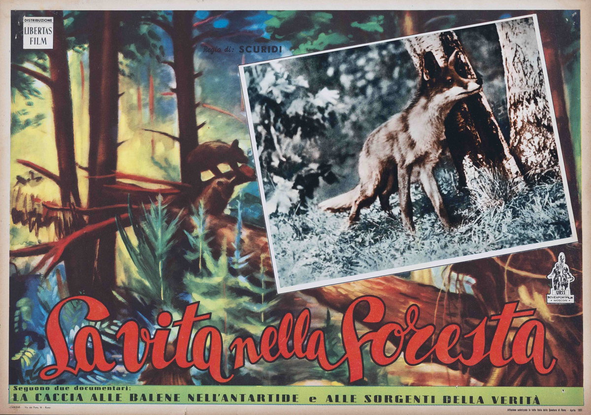 Fotobusta 2 per il film La vita nella foresta (1950)
