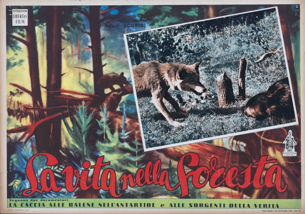 La vita nella foresta - Fotobusta 1