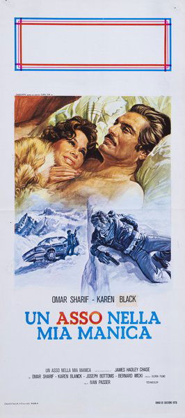 Un asso nella mia manica