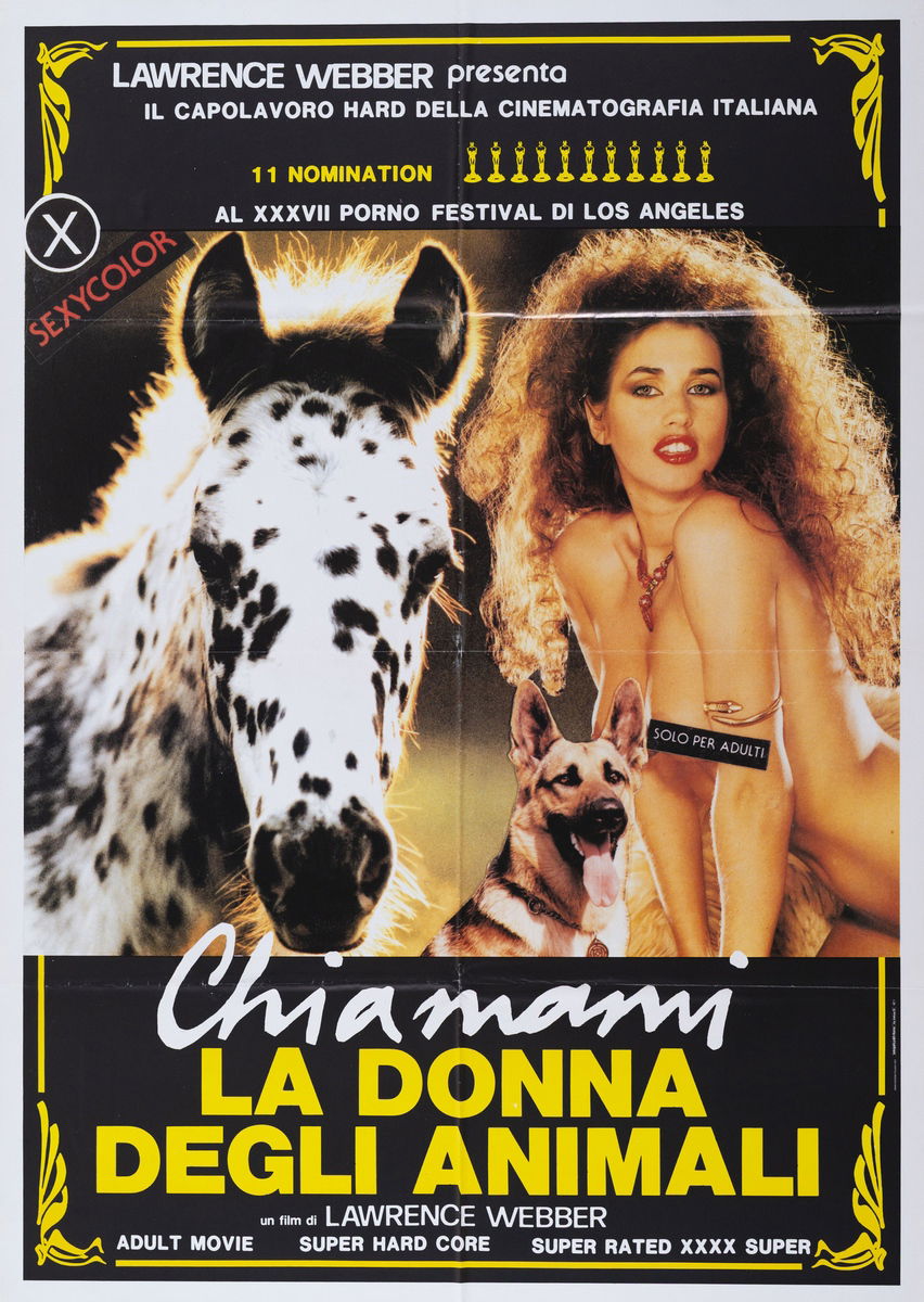 Chiamami la donna degli animali - Manifesto 1
