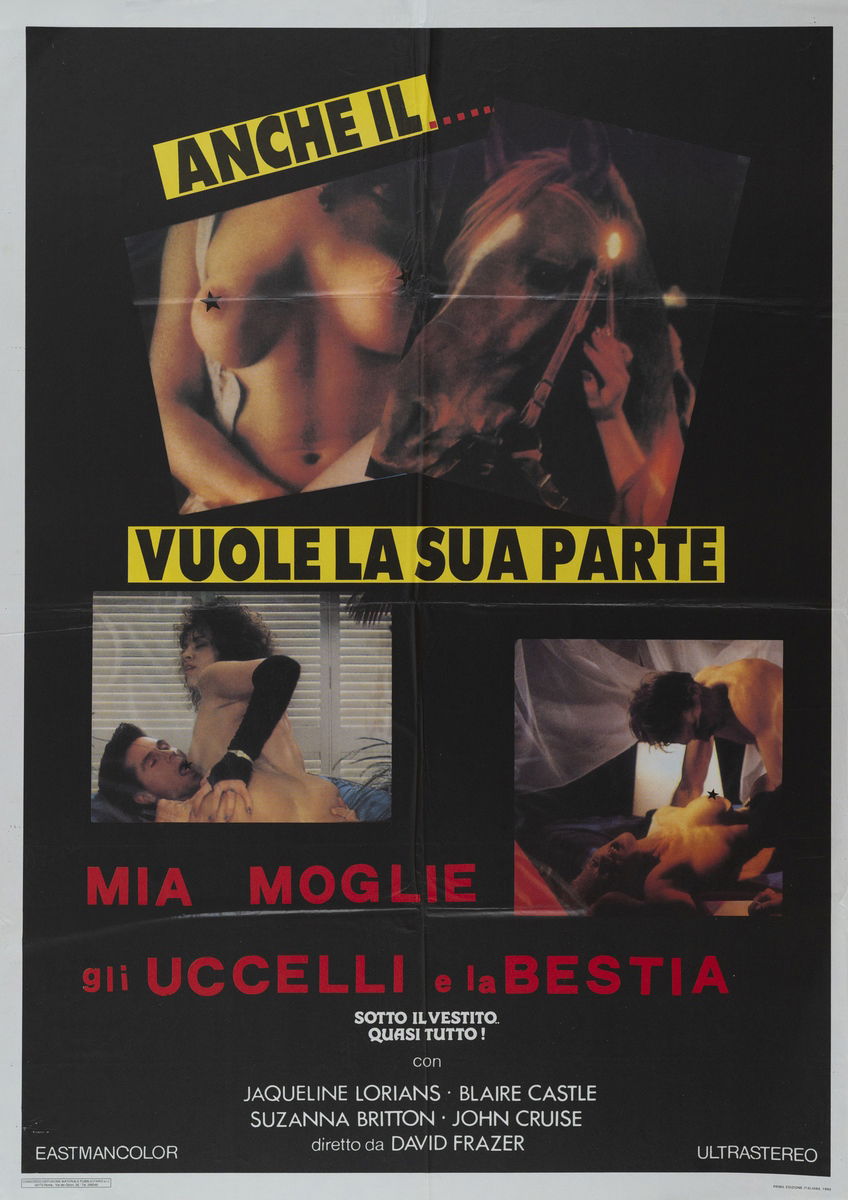 Mia moglie, gli uccelli e la bestia - Manifesto 1