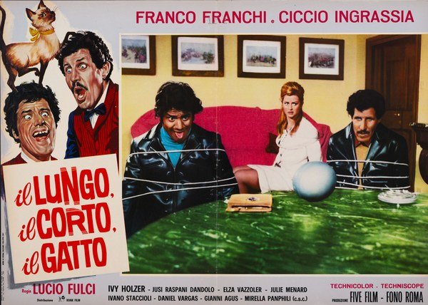 The Tall, The Short, The Cat