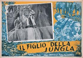 Lobby Card 5