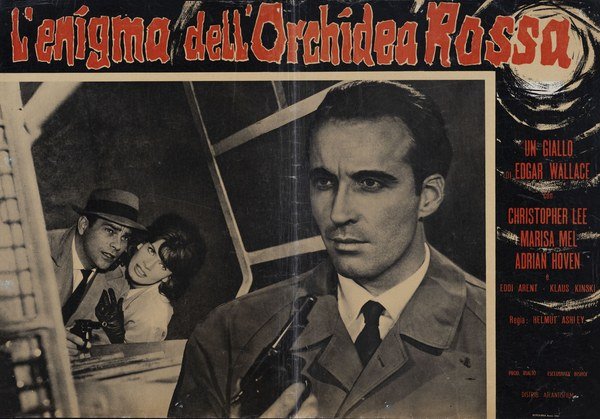 L'enigma dell'orchidea rossa