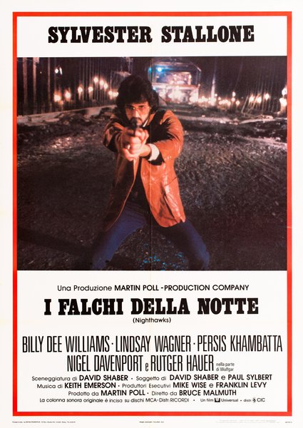 I falchi della notte