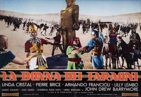 Lobby Card 8