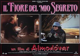 Lobby Card 6