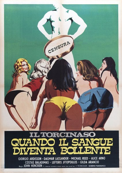 Il torcinaso - Poster 1