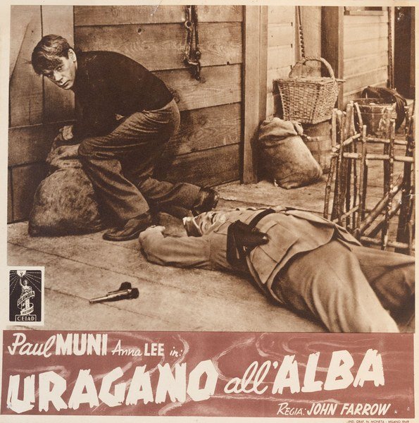Uragano all'alba