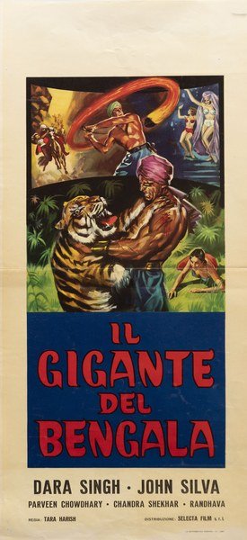 Il gigante del Bengala