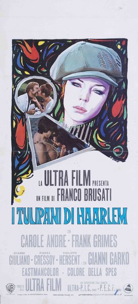 I tulipani di Harlem