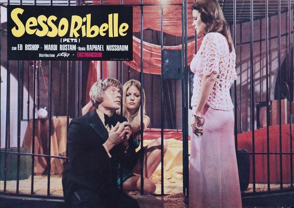 Questo sesso ribelle