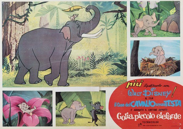 Golia, piccolo elefante