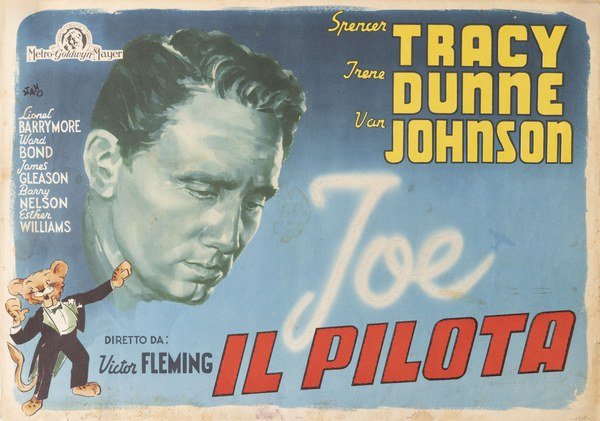 Joe il pilota