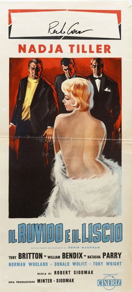 Il ruvido e il liscio - Locandina 1