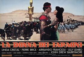 Lobby Card 7