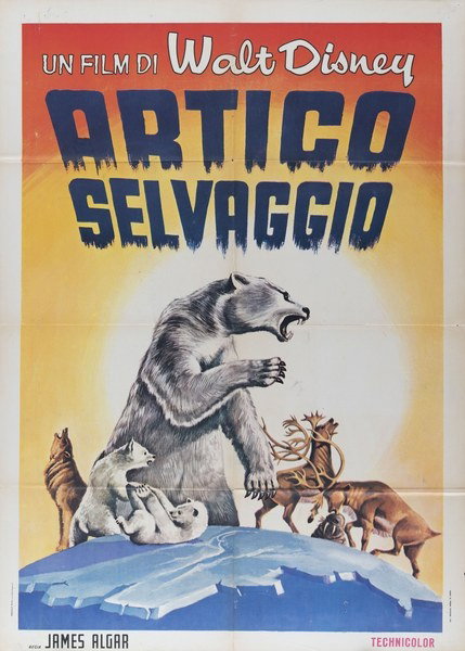 Manifesto 2 per il film Artico selvaggio (1958)