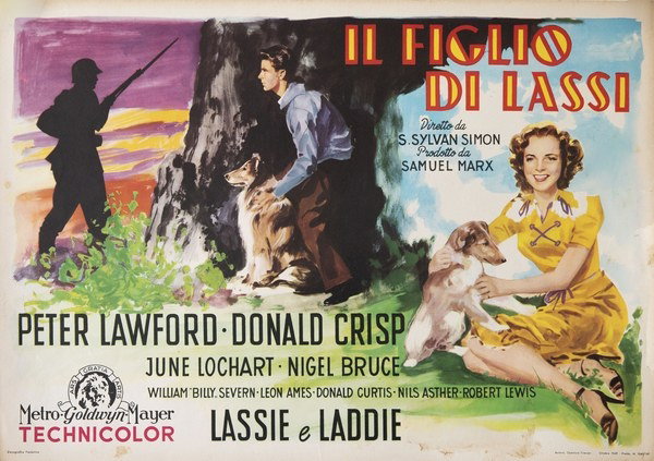 Lobby Card 2 for the film Son of Lassie (1945)