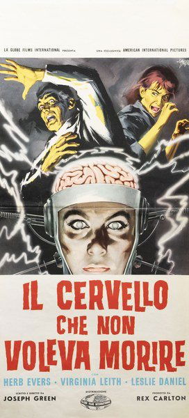 Il cervello che non voleva morire