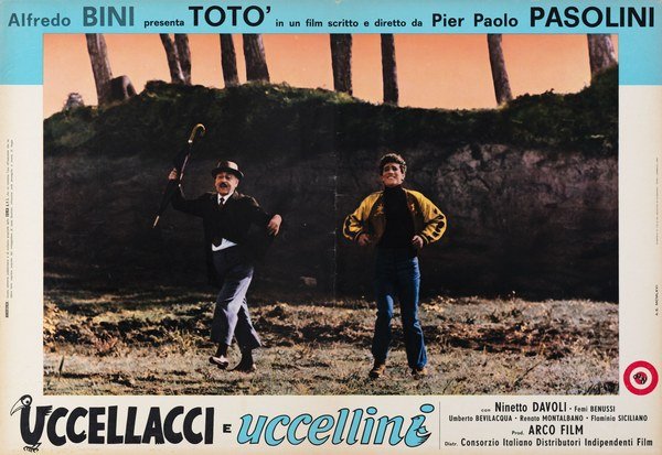 Uccellacci e uccellini