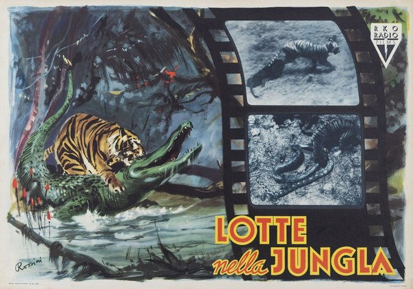 Lotte nella giungla - Fotobusta 1