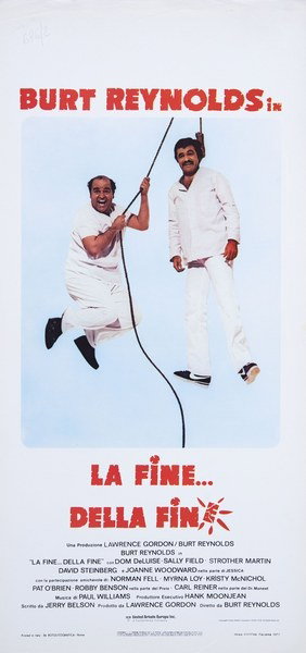 La fine... della fine - Locandina 1