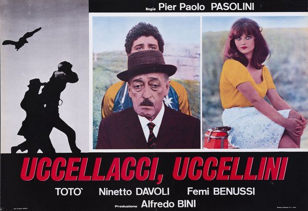 Uccellacci e uccellini