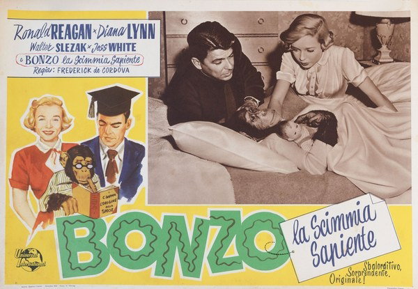 Lobby Card 2 for the film Bonzo, la scimmia sapiente (1951)
