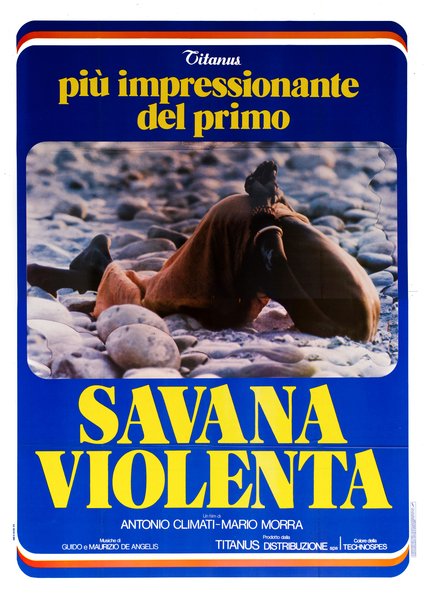 Savana violenta