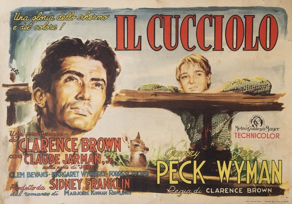 Il cucciolo